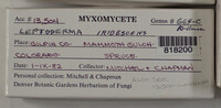 Image Associated With the Occurence